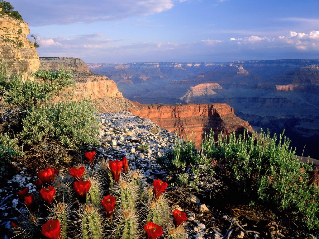 ARIZONA GRAND CANYON