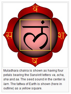 MULADHARA ROOT CHAKRA