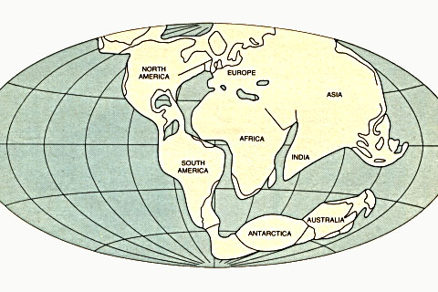 http://www.greatdreams.com/Pangea.jpg