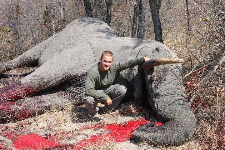 ELEPHANT DEAD