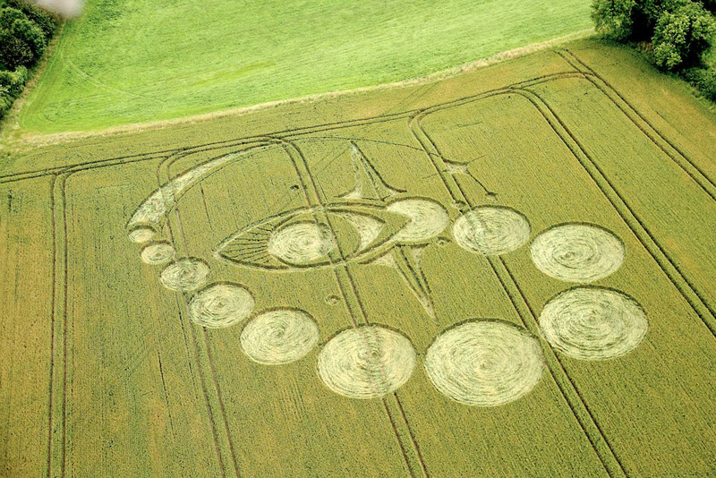 CROP CIRCLE SNAKE