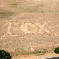 ITALY FOX CROP CIRCLE 2011