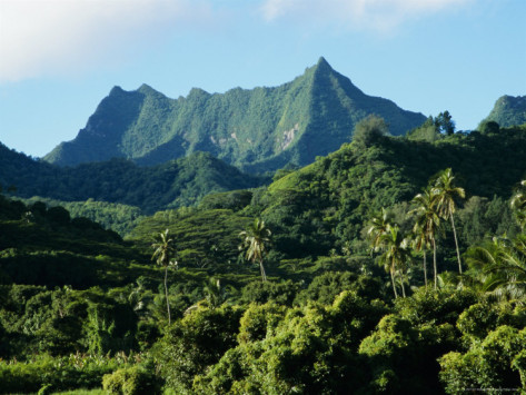 MOUNTAIN POLYNESIA