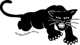 Black Panther Party