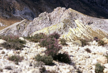 Polyvotis volcano dome