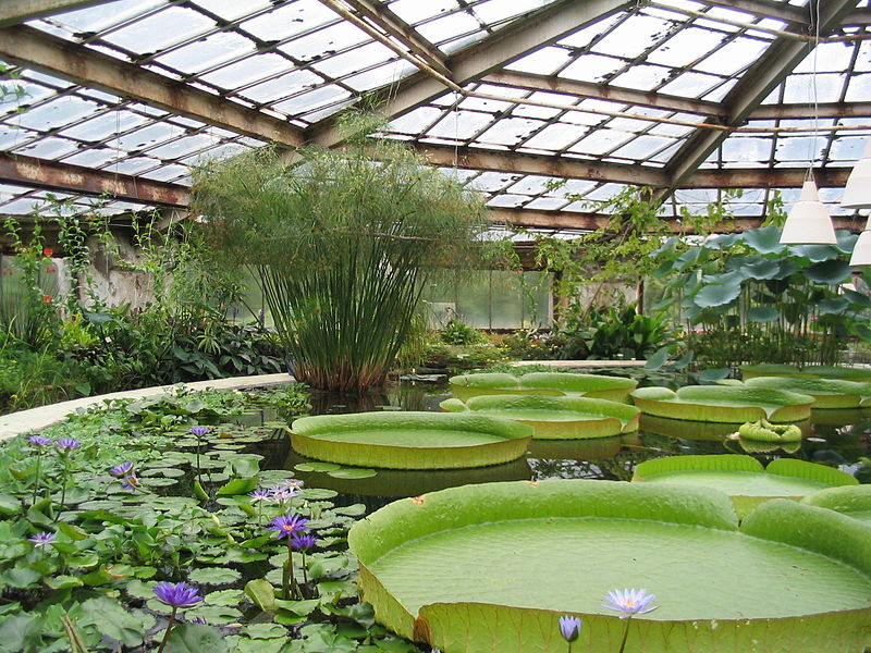 BOTANICAL GARDEN