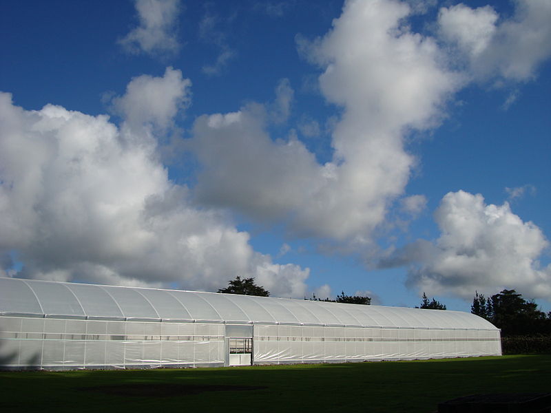 GREENHOUSE NEW ZEALAND