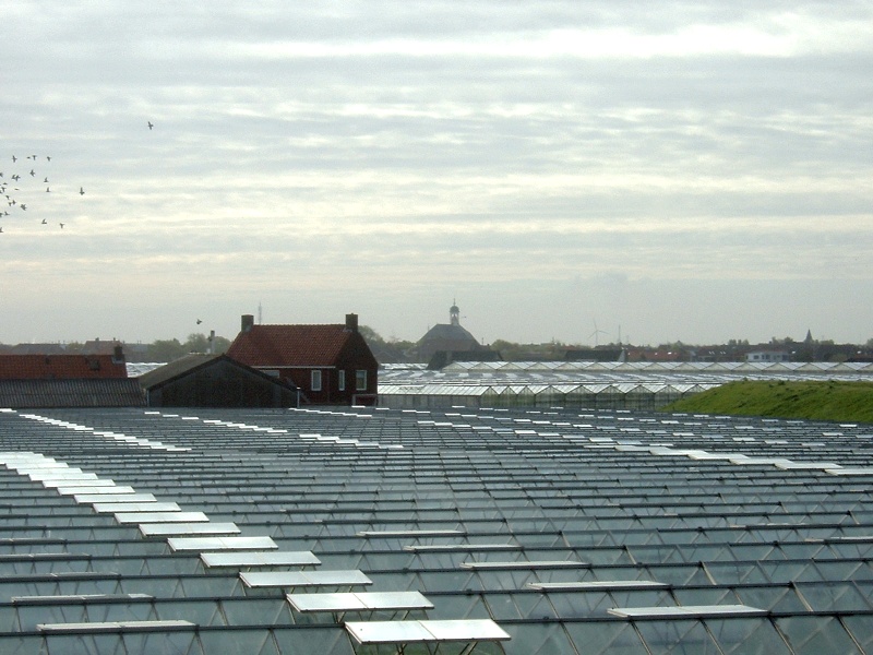 GREENHOUSES