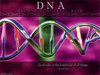 2012 DNA Upgrade