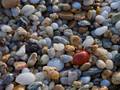 Pebble at Paliohori beach (Photo: Tobias Schorr)