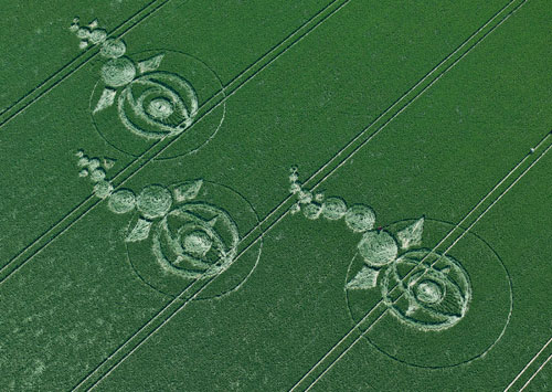 sun fish crop circle