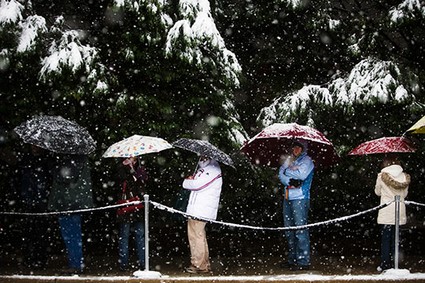 snow umbrellas