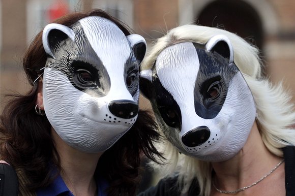 BADGER MASKS