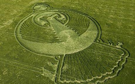 Phoenix crop circle: Phoenix crop circle may predict end of the world 