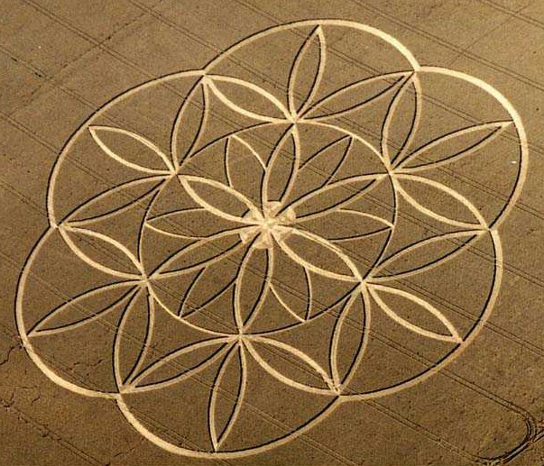 FLOWER OF LIFE CROP CIRCLE