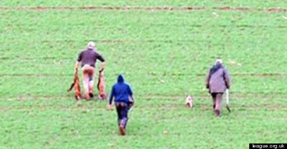 fox hunt devon