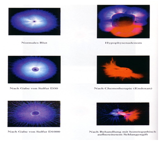 radionics14.png