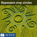 Rapeseed crop circles