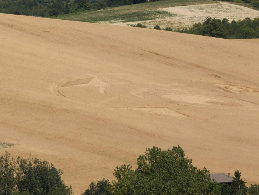 crop circles in Robella