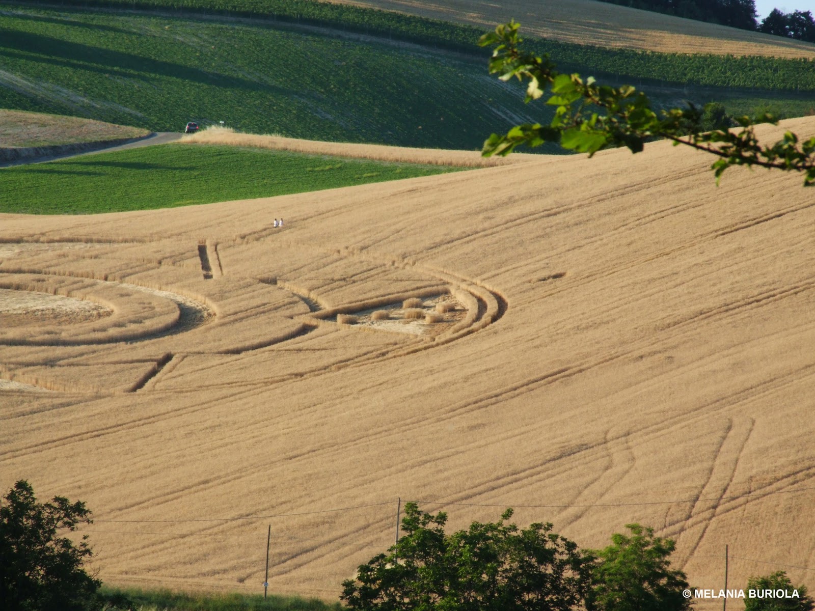 crop circles in Robella