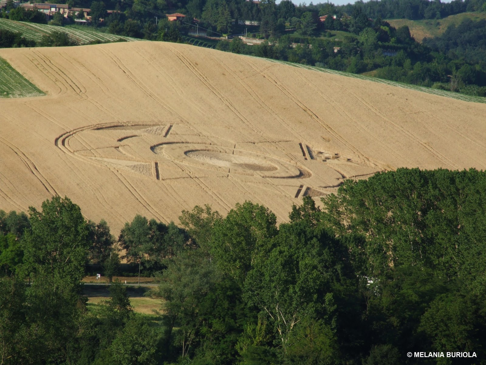 italy crop circle  june 2013