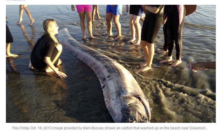 oarfish California