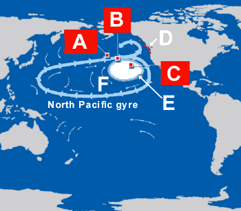 PACIFIC FLOATING ISLAND