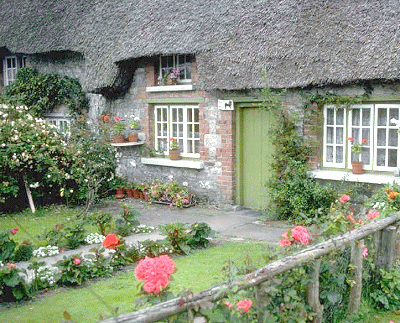 ENGLISH COTTAGE GARDEN