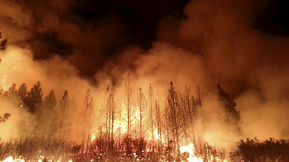 yosemite rim fire 2013