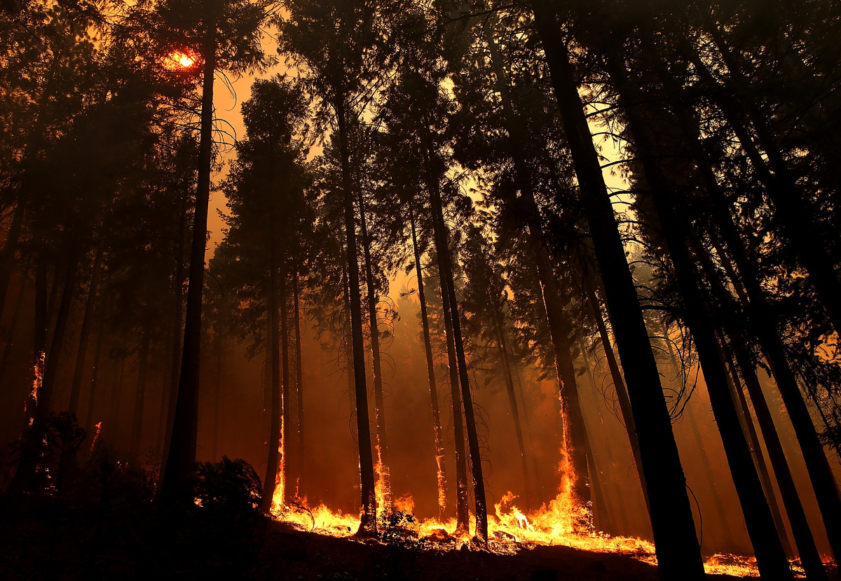 yosemite rim fire - along highway 120