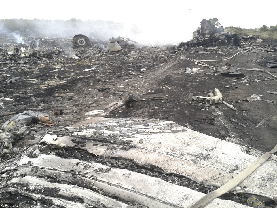 Catastrophic: A view of one of a crash site in the settlement of Grabovo in the Donetsk region. Witnesses said bodies were found scattered for many kilometres