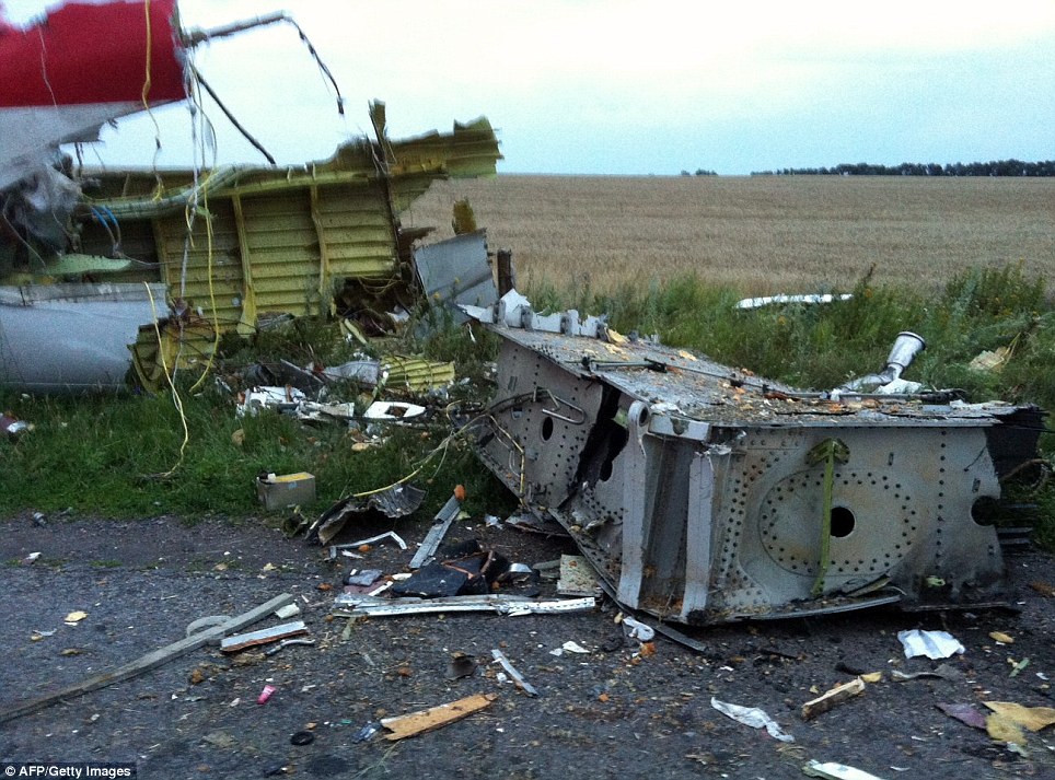 Ripped apart: Wreckage of the Malaysian Airlines flight after it crashed in rebel-held territory in Eastern Ukraine