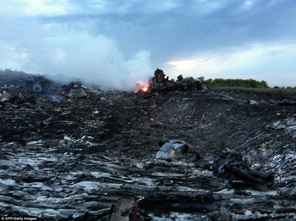 Catastrophe: Fire and smoke rises from the wreckage. Ukraine President Petro Poroshenko denied his forces were involved in shooting down the plane