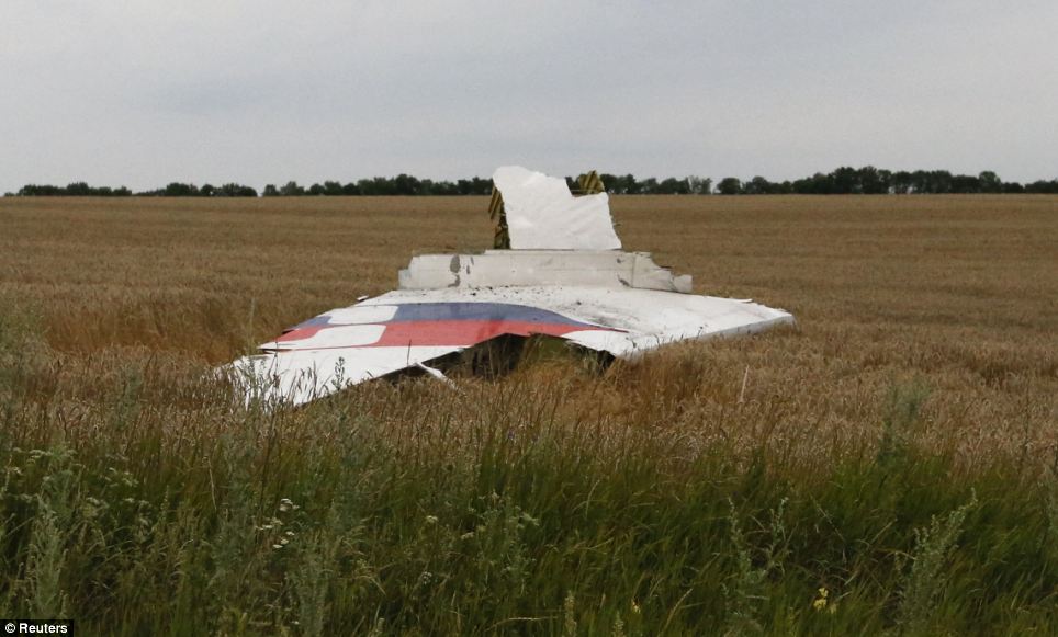 In pieces: Part of the wreckage of the Malaysia Airlines plane lies in an otherwise deserted cornfield