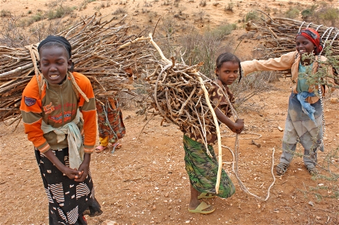 CHILDREN AND TREES