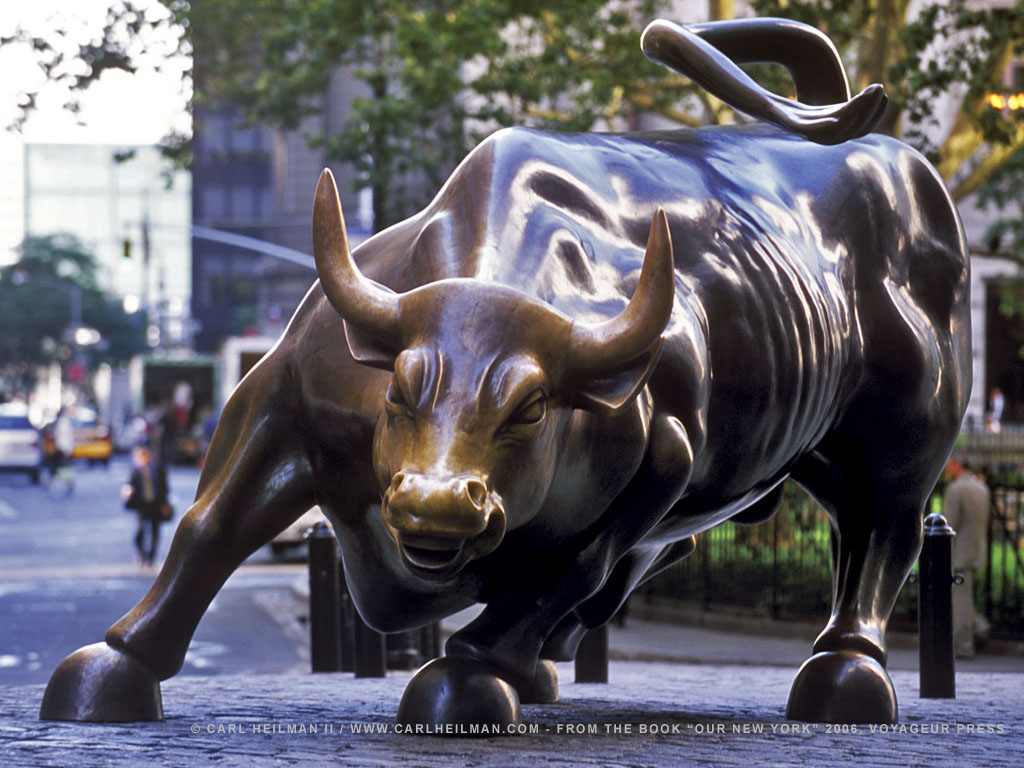 charging bull