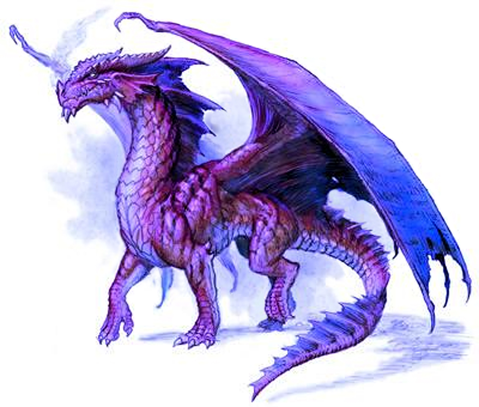 purple dragon