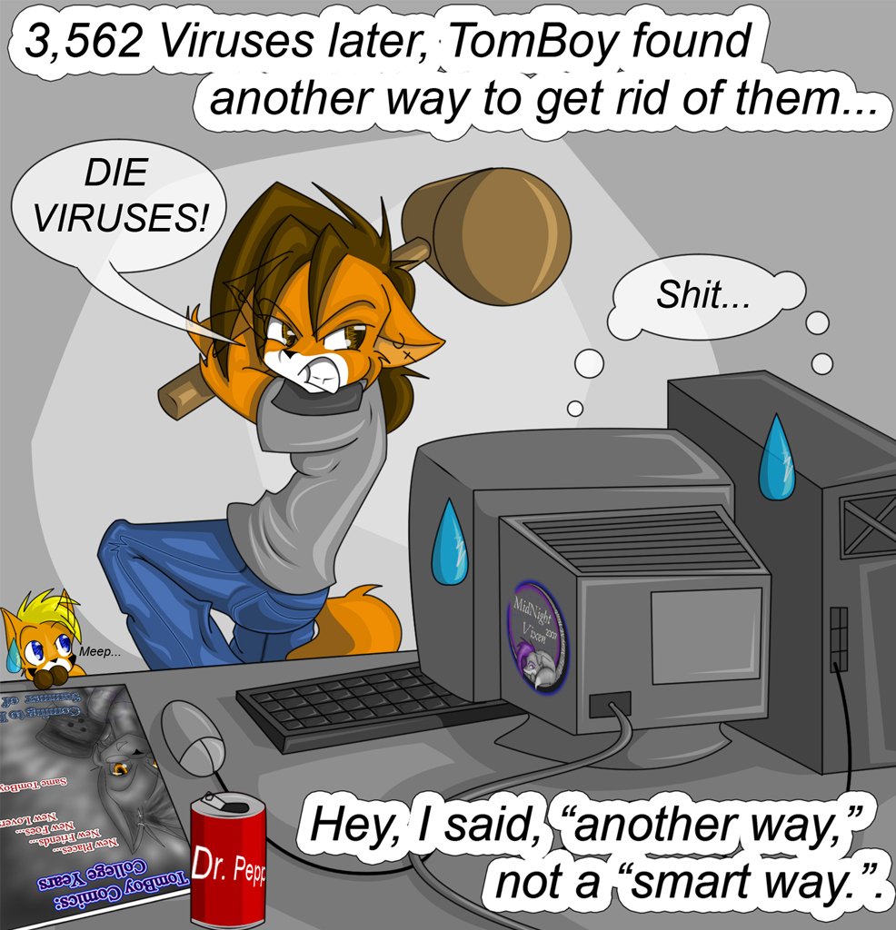 Free essay on computer viruses