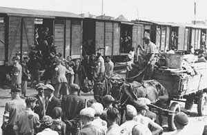 FEMA? - The deportees were forced into rail cars, most of which were windowless, unheated cattle cars, and squeezed in so tightly that most were forced to stand. The doors were then sealed shut from the outside. 