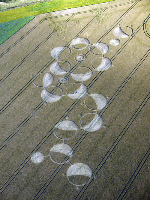 melonin crop circle