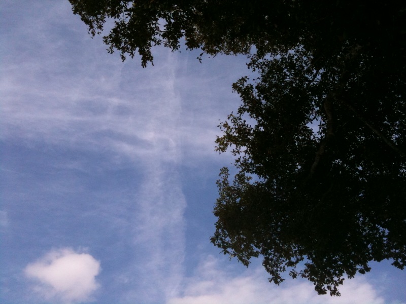 chemtrail-Davie-FL-3-25-10