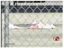 custody after fatal school shooting violence erupts near mcdonogh ...