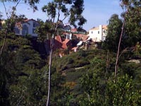 Laguna Nigel: House #2 fallen over edge of the head scarp.