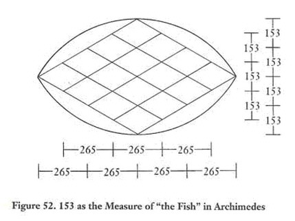 Fish Net with dimensions 153 x 265