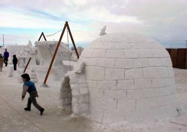 Pics Of Igloos