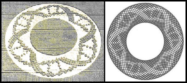 2002 Crooked Soley Crop Circle Formation - Mitochondrial DNA