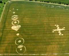 Chakra System Crop Circle Formation of 2004