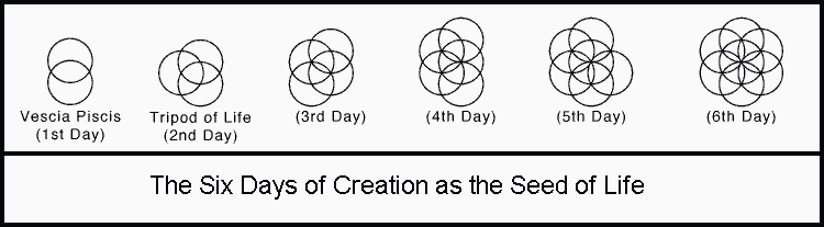 6 Days of Creation as the Seed of Life