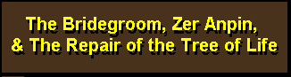 The Bridegroom, Zer Anpin, & The Repair of the Tree of Life