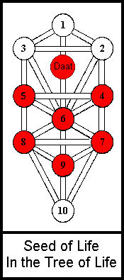 Seed of Life within the Tree of Life